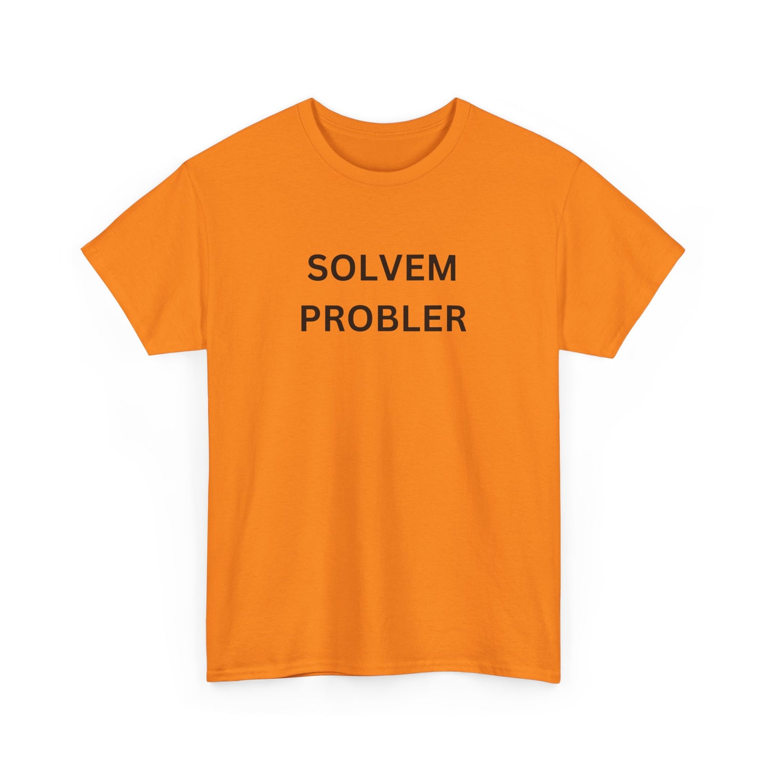 SOLVEM PROBLER aka PROBLEM SOLVER
