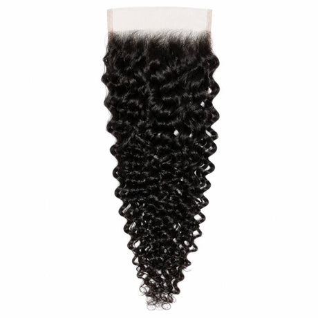 Raw Burmese Curly 5x5 HD Lace Closure